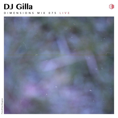 DIM075 - DJ Gilla (Live 2016)