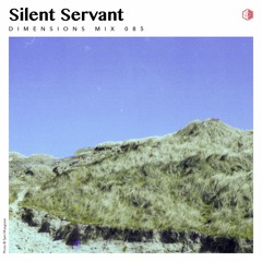 DIM085 - Silent Servant