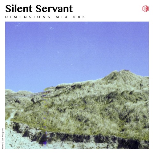 DIM085 - Silent Servant