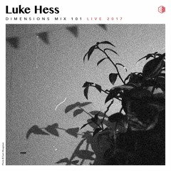 DIM101 - Luke Hess (Live 2017)