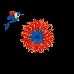 Nani Nani Live at The Abbey Sutton Courtney