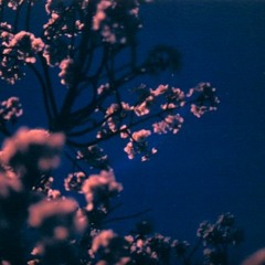 Unknown Artist - Maximminus6