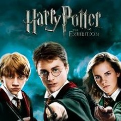 Steve Cartledge: Harry Potter