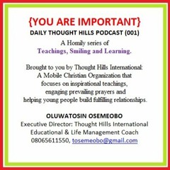 You are Important by Tosin Osemeobo  - Daily Thought Hills 001