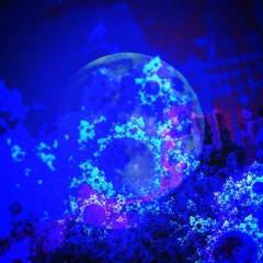 llw reh 20171210 daydream