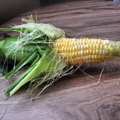 2017 metalic hardcore - Thy Regiment