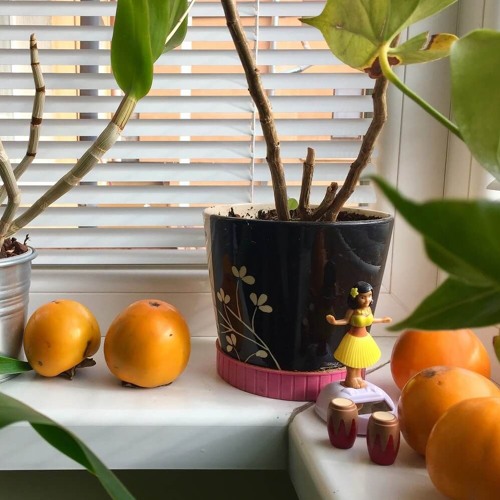 OOHS! - Mutually Assured Distraction