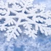 Winter Flavor Mp3