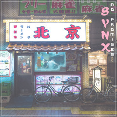 no promises [synx remix]