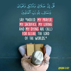 قُل إِنَّ صَلاتي ونُسكِي ومَحيَاي ومَماتي لِلّهِ رَبِّ العَالمِين - القارئ الشيخ عبد الناصر حرك