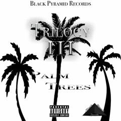 TrilogyIII - #PalmTreez 🌴🌴🌴