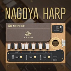Nagoya Harp - Experimental Weapons Division by Torley