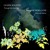 Artwork for Oliver Koletzki - Through The Darkness (Township Rebellion Alternate Remix)
