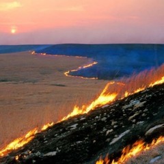 song 2 (folly of youth)