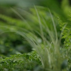 So Much To Give - Mitsubishi (Part 1)