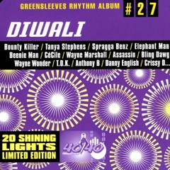 DJ Madara - Diwali Riddim Mix