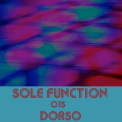Sole Function 015