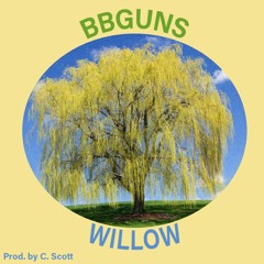 Willow (Prod. C. Scott)