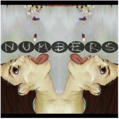 Numbers - KDFinesse
