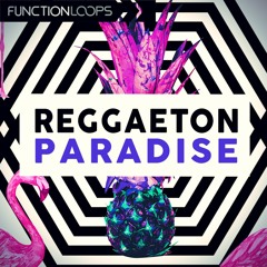 Function Loops - Reggaeton Paradise
