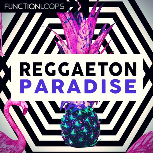 Function Loops - Reggaeton Paradise