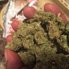 Paid In Full Haze - Gucci Gang (1)