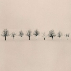 Mindaugas Jak - Polyphonia