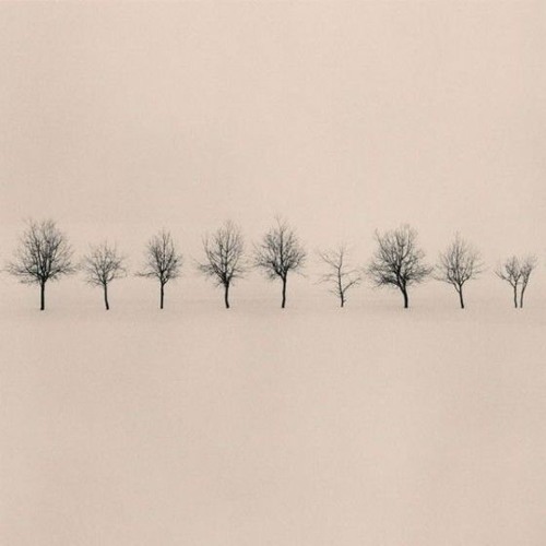 Mindaugas Jak - Polyphonia