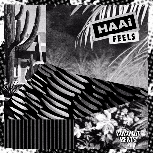 Premiere: HAAi 'FEELS'