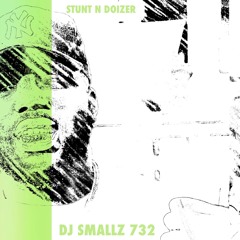 DJ Smallz 732 - Stunt N Doizer ( Jersey Club )