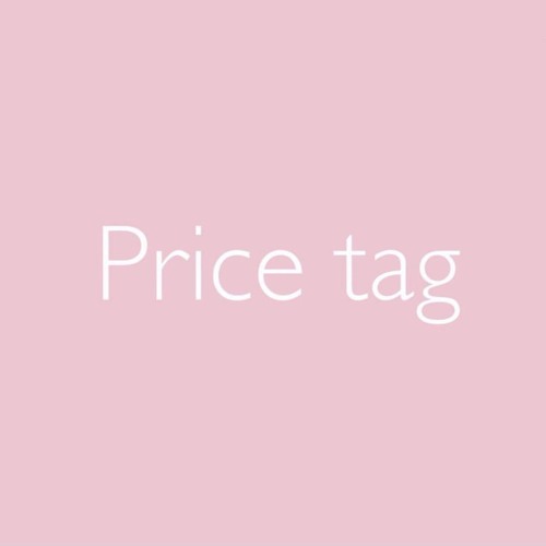 Price Tag - Jessie J (cover by ludagladush)