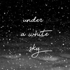 under a white sky