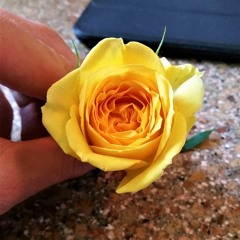 Godspeed - Frank Ocean Cover