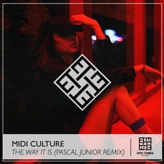 Midi Culture - The Way It Is (Pascal Junior Remix).