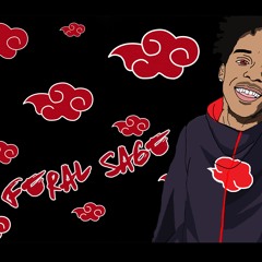 FERAL SAGE X MR.MIYAGI