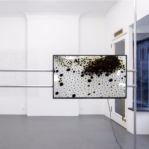 A lecture with Anna Barham