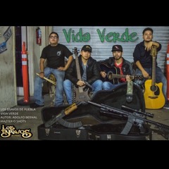 Los Bravos De Puebla - Vida Verde