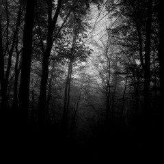 Dark Forest Mix 2017