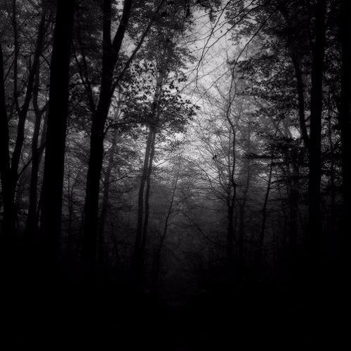 Dark Forest Mix 2017
