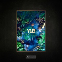 Y&B