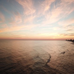 TLP #7 W Olivia Searcy