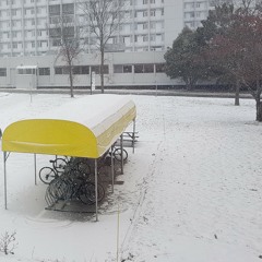 Muộn màng là từ lúc ..