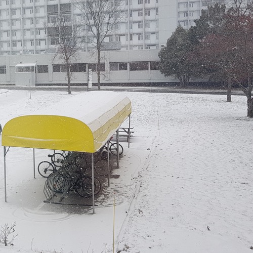 Muộn màng là từ lúc ..