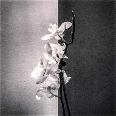 Beauty Between (Feat. Yoom)