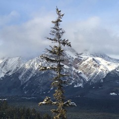 dreams are wack (prod. lil flexer)