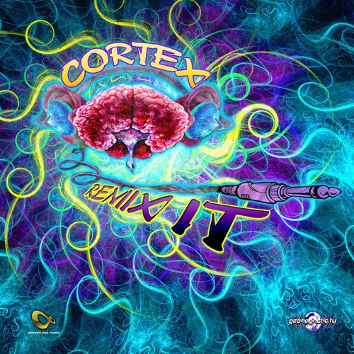 01 - 1200 Mics - Merijuana (Cortex Vs Didrapest Remix Part 2).wav