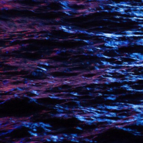 night tide