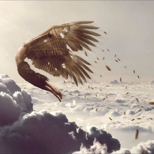 Icarus - Ivan Torrent