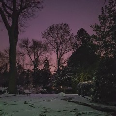 Ingo Sänger @ December 2017