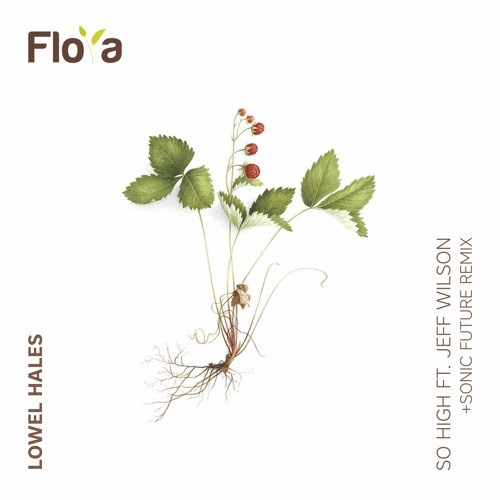 Premiere: Lowell Hales - Floating (Original Mix)[Fauna & Flora]